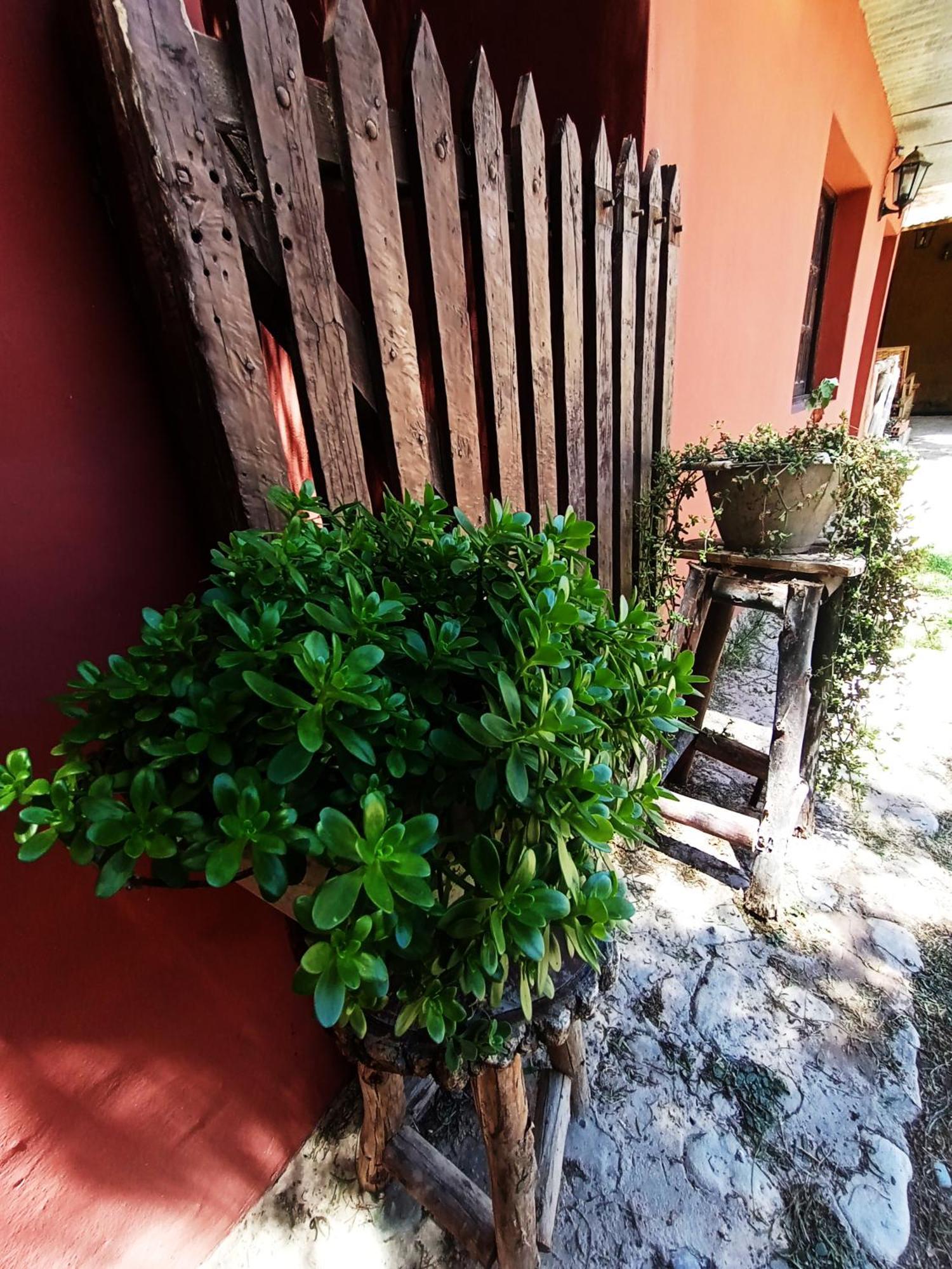 Hostal La Albahaca Tilcara Exteriör bild